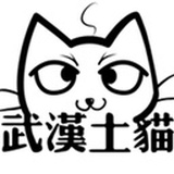 武汉土猫