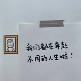 🌈      洋宝贝
