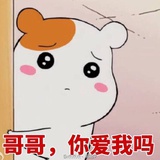 小冬瓜