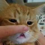 阿童木