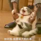 随行必备老中医