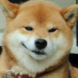 看见…