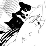 秦烨