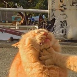 会发光的灯塔