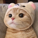 momo