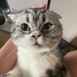 陈锦召