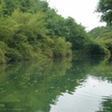 开心每天