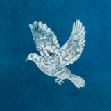 star梁栋