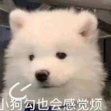 tobeminami