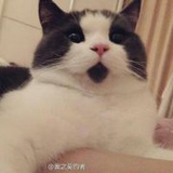 简析
