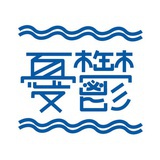 倔强的小狮子