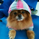三减一等于几