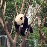 明天会更好