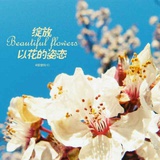 djjxbbb