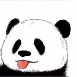 寻觅之犬