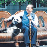 山猫大王