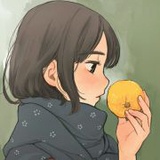 橙子打油