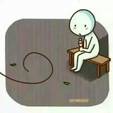 鱼有翼