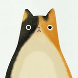 胖猫