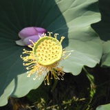 脑洞大开
