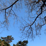 小小毛毛绒绒
