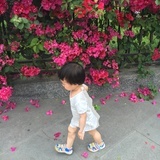 清水一滴