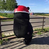 锖青磁