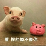 没烦恼的Ano