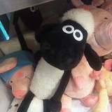 椰子树