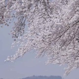 刘欣