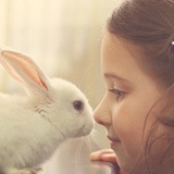 opppp
