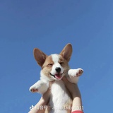 GreatSunny