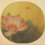 苏唐