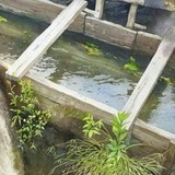 陈春仁
