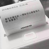 小绵羊