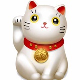 候鸟