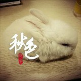 兔子爱吃松鼠
