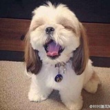 不朽