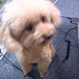   Zero point