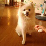 阅来玥美
