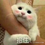 rnio