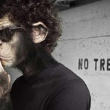 阎魔只是我的狗