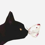 吃货侠者