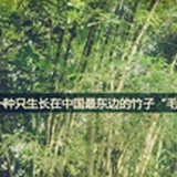 北北