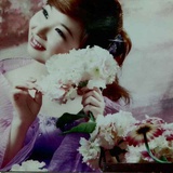 小燕子