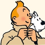 Mr Tintin
