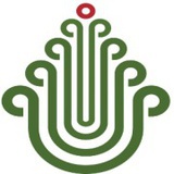 广东友丰油茶
