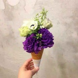 笨笨错错