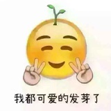小鱼