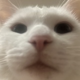 叮叮当。